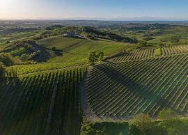 Spacious Hillstay, Piedmont