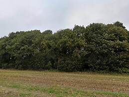 5 Star Holiday Home in Hovborg
