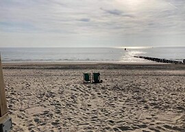 Stylish Zeeland Stay BBQ