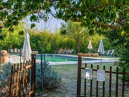 Nice Farmhouse in Asciano With Shared Pool