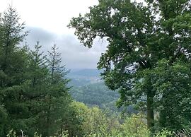 Romantic Stay in Saint-quirin