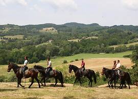 Tranquil Chianti Escape for 4
