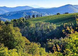 Tranquil Chianti Escape for 4