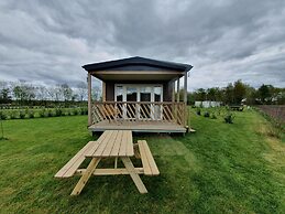 Lovely Chalet in Schoonloo With Patio