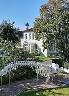 Holiday Apartment Villa in the Park
