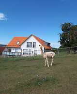 Franconia's Center No.3
