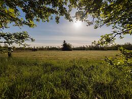 Holiday Home in Drenthe With Private Pool