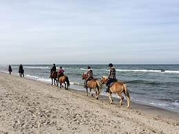 Holiday House Dune Forest b