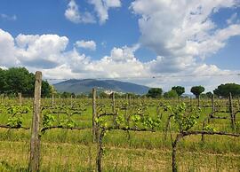 Elegant Retreat in Umbria