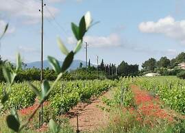 Villa in Vidauban With Pool & Vineyards Nearby