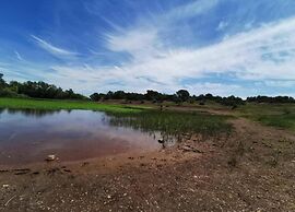 Villa in Vidauban With Pool & Vineyards Nearby