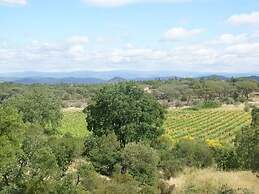 Villa in Vidauban With Pool & Vineyards Nearby