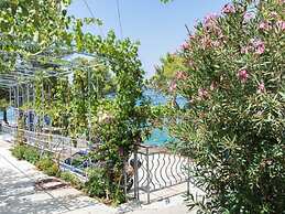 Apartment Villa Rosea