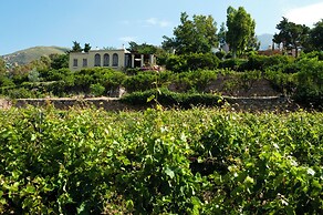 Montofoli Wine Estate