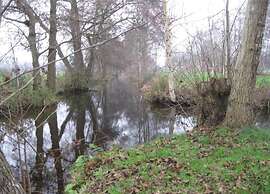 Canal-side Stay, Giethoorn