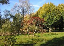 Holiday Home in Gargas With Pool and Nature