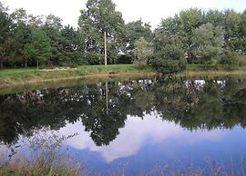 Holiday Home in Gargas With Pool and Nature