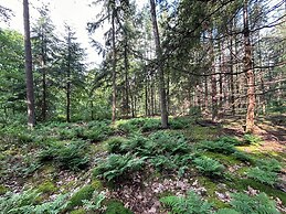Holiday Home in Zelhem With Garden
