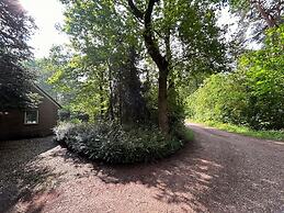 Holiday Home in Zelhem With Garden