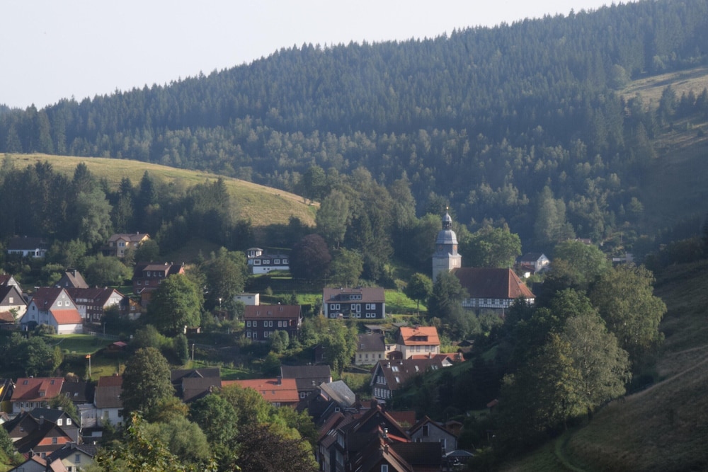 Charming Attic Hideaway, Harz