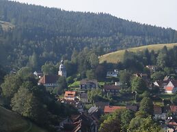 Charming Attic Hideaway, Harz