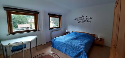 Charming Attic Hideaway, Harz