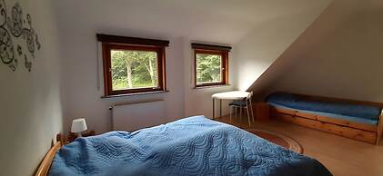 Charming Attic Hideaway, Harz