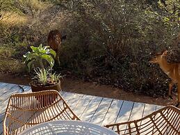 Holiday Home in Hoedspruit With Private Pool
