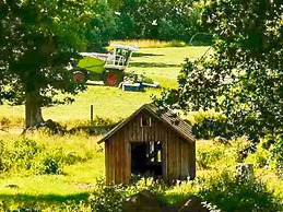 8 Person Holiday Home in Hogsby