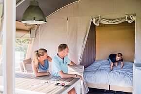 Nice Tent on a Campsite