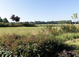 Cozy Retreat at 't Broeckhuys