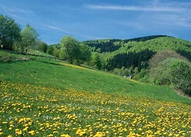 Holiday Home Near Winterberg Ski Slopes