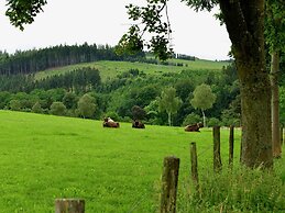 Holiday Home Near Winterberg Ski Slopes