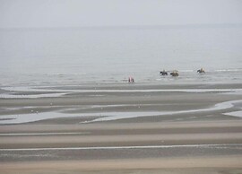 Apartment by Belgian Coast Near Dunes & Beach
