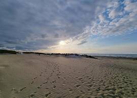 Apartment by Belgian Coast Near Dunes & Beach