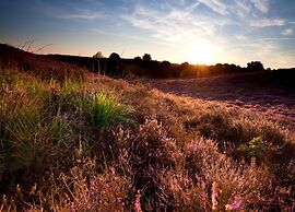Beautiful Holiday Home in Voorthuizen