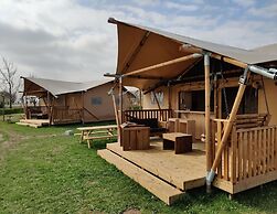 Forest-edge Glamping Tent