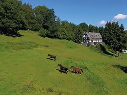 Ferienhaus im Sauerland