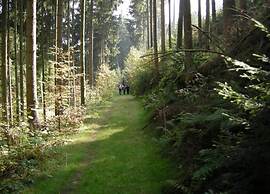 Bungalow auf dem Campingpark Waxweiler