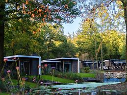 Nature-connected Modern Stay