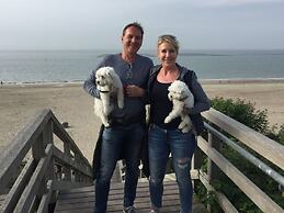 Holiday Home in Renesse