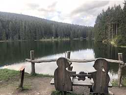 Cosy Apartment in Harz