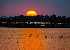 Peaceful Coastal Stay, Rosolina