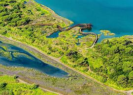 Peaceful Coastal Stay, Rosolina