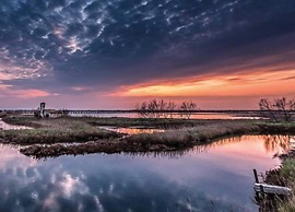 Peaceful Coastal Stay, Rosolina