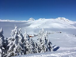 Chalet in Mittersill Near Ski Slopes