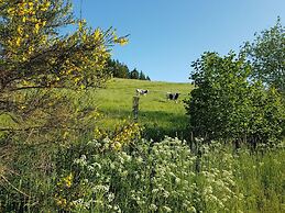 Eifel Farmhouse Retreat