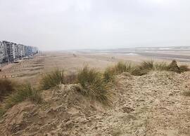 Apartment by St-andre Dunes With Sea View