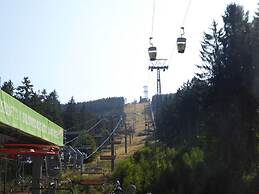 Nice Apartment in Hahnenklee