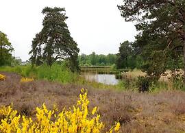 Forest Villa Near Nijmegen
